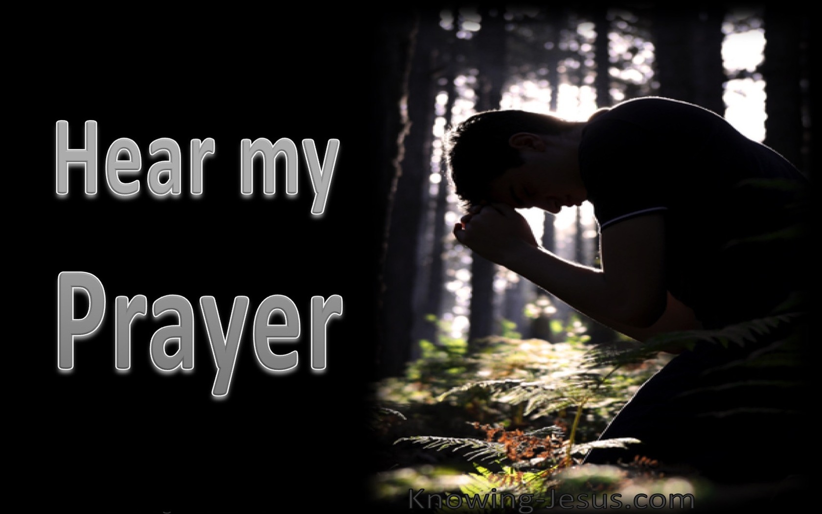 Hear My Prayer (devotional)06-10 (black) - Psalm 54:2